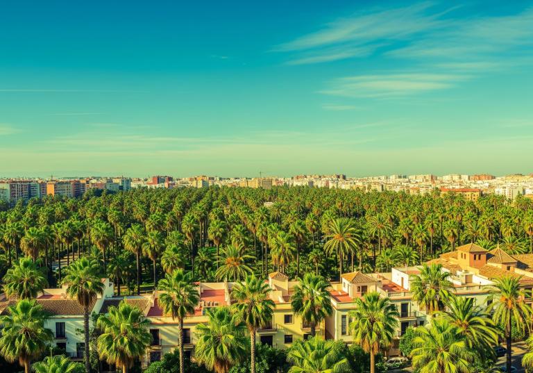 Elche
